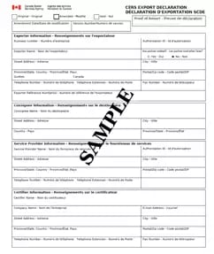 CERS sample form