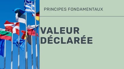 Un groupe de drapeaux internationaux avec le titre “VALEUR DÉCLARÉE