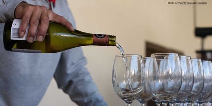 chile-Undurraga-Wine-pour