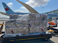 palletized air cargo on tarmac for export