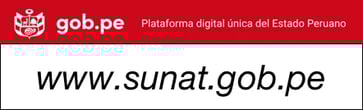sunat-peru-government-website-graphic