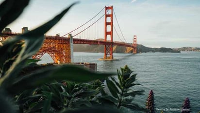 Shipping Options from Quebec to US: Things to consider