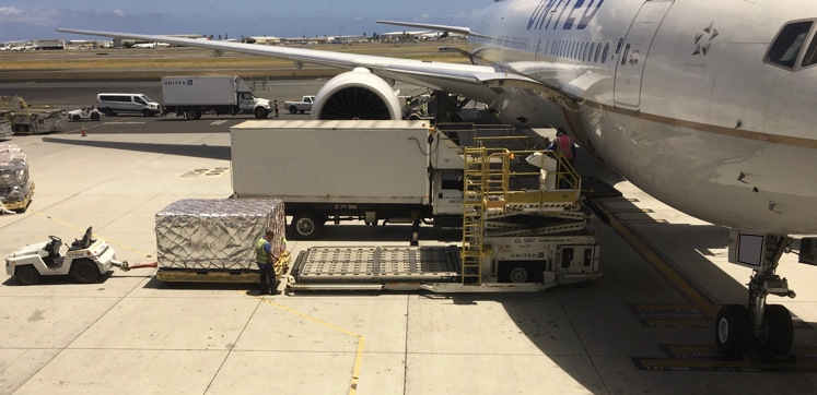 air-freight-pallet-being-offloaded
